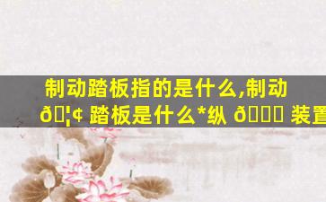 制动踏板指的是什么,制动 🦢 踏板是什么*
纵 🐝 装置